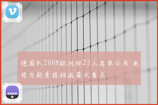 德国队2008欧洲杯23人名单公布 老将与新秀搭档成最大看点