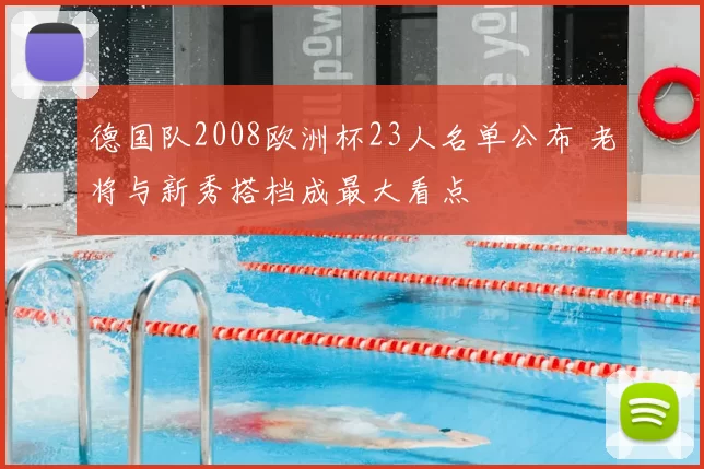 德国队2008欧洲杯23人名单公布 老将与新秀搭档成最大看点