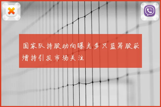 国家队持股动向曝光多只蓝筹股获增持引发市场关注