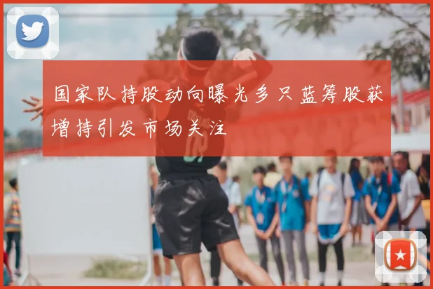 国家队持股动向曝光多只蓝筹股获增持引发市场关注