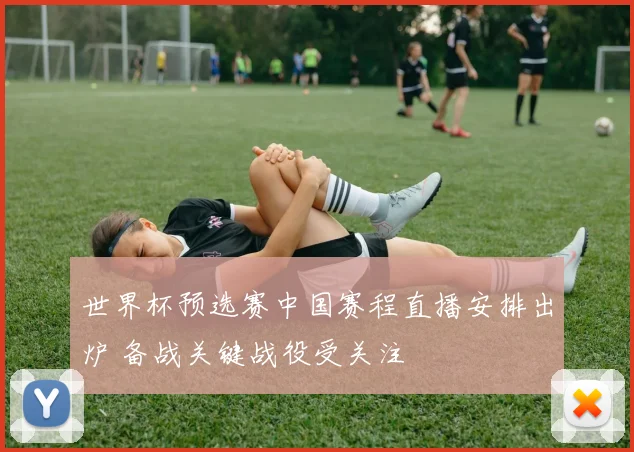 世界杯预选赛中国赛程直播安排出炉 备战关键战役受关注