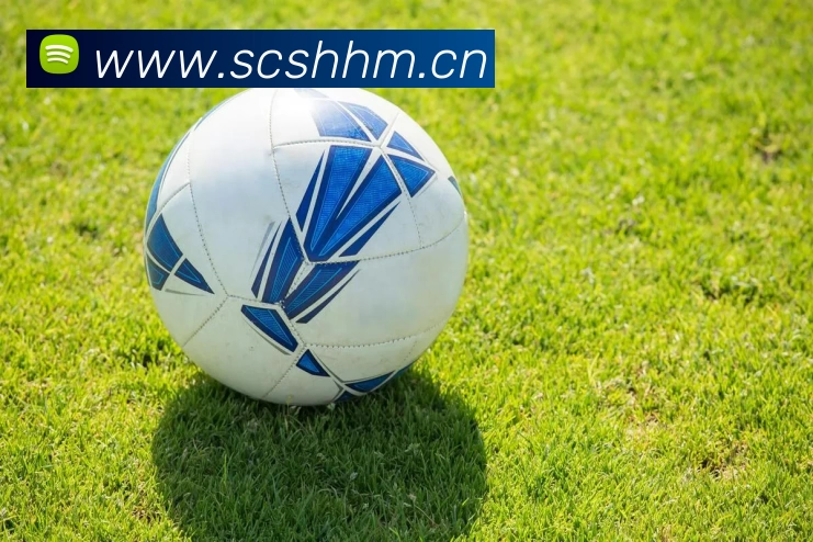 爱游戏(ayx)中国官方网站平台 - 登录入口APP 封面图